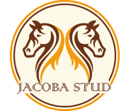 Logo Jacoba Stud Wijster